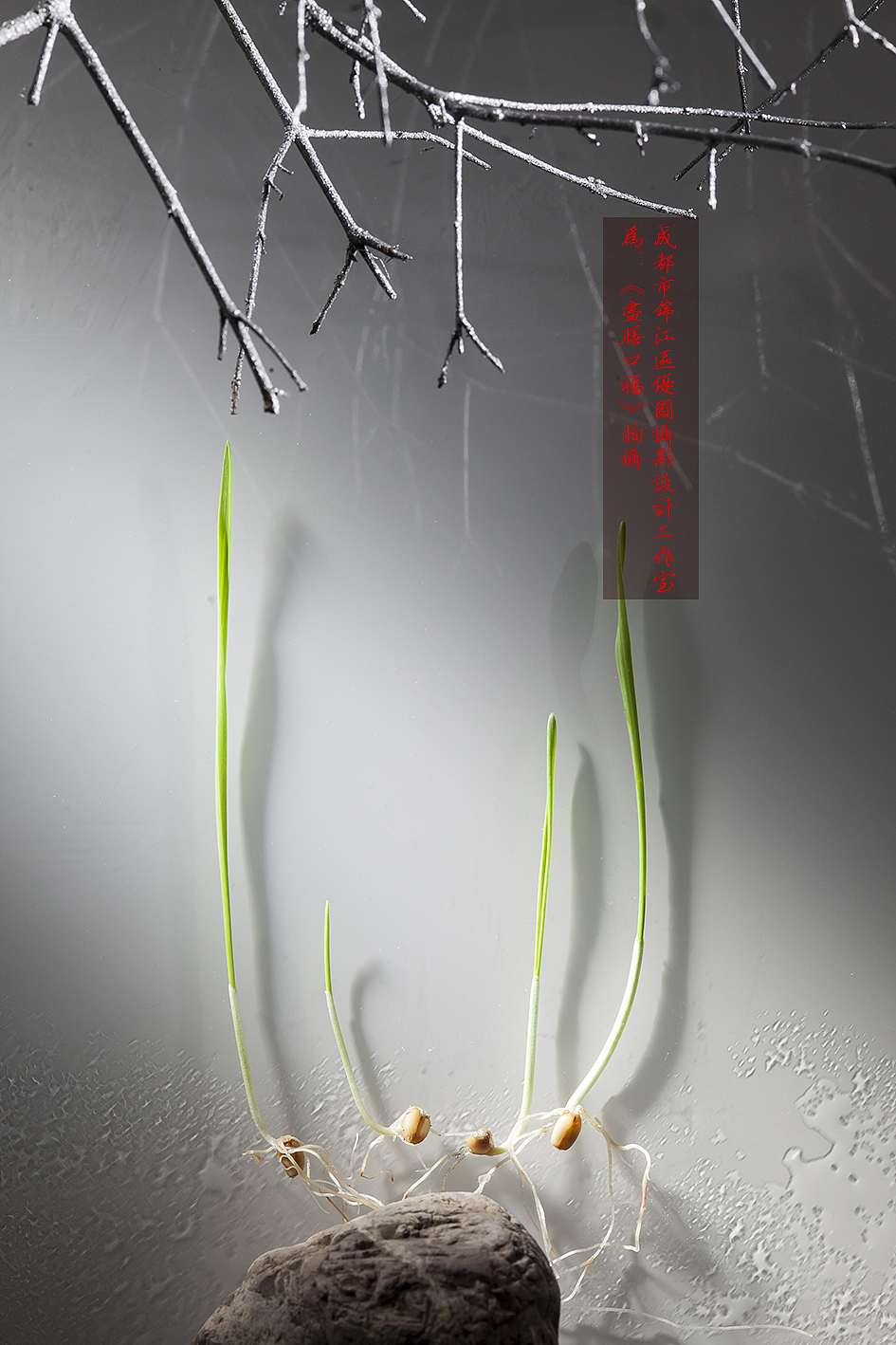 跷脚牛肉年轻感拍法|尽膳口福