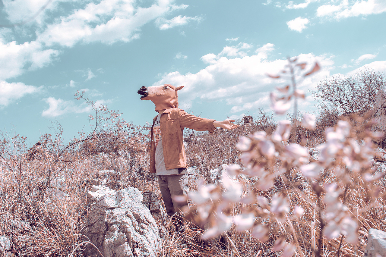 野里 | 姓张的马先生