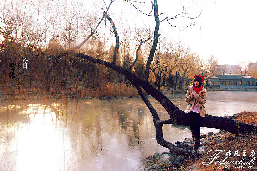 非凡主力—《冬日思语》