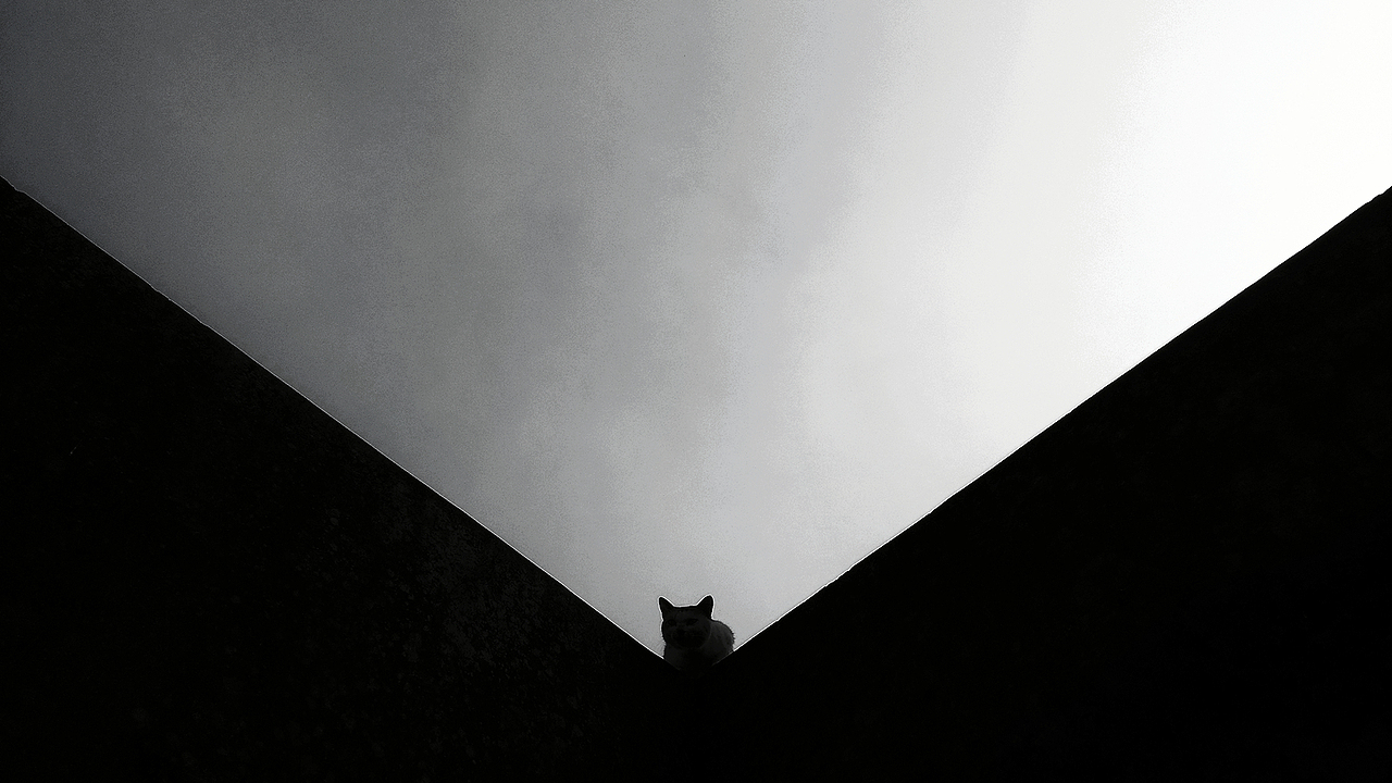 一些记录（图ZNjI5MzIzNjg=） - 其他摄影 - 站酷设计师早寻原创素材 - 站酷ZCOOL