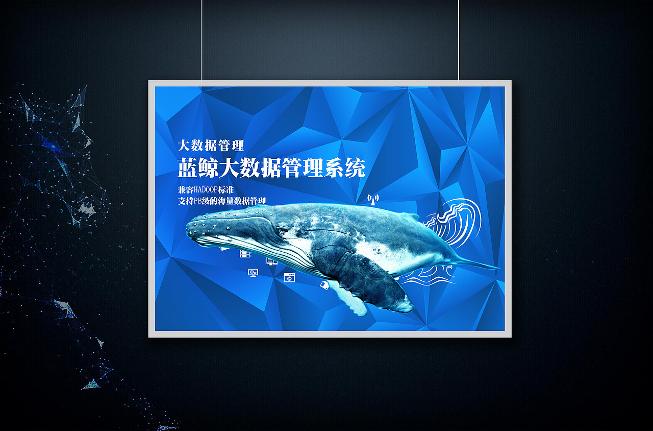 大数据博览会布展成效