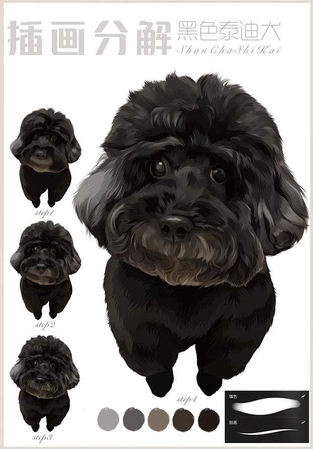 宠物插画步骤|黑泰迪