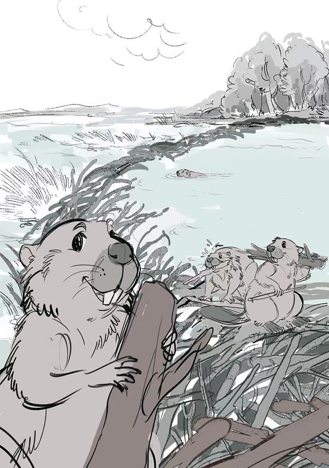 少儿科普杂志封面（图ZMzYwMTg0OTMy） - 商业插画 - 站酷设计师山屿白原创素材 - 站酷ZCOOL