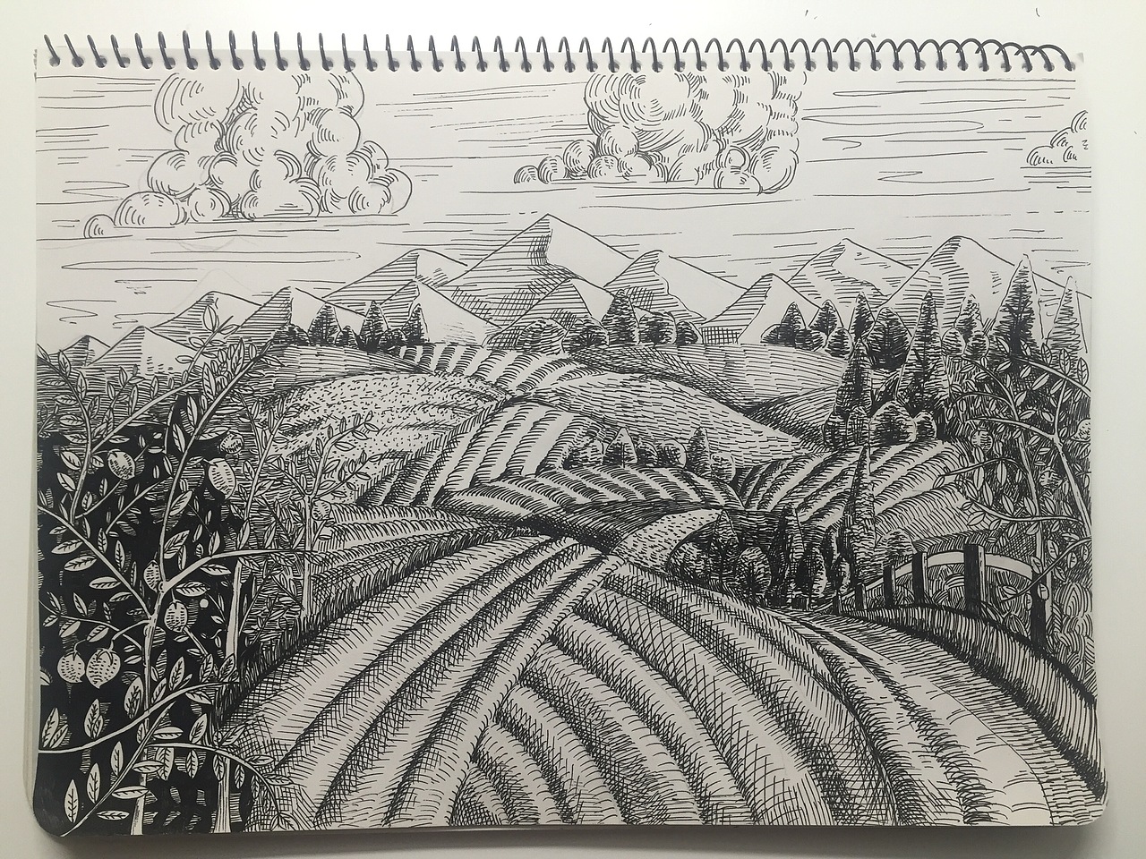 风景（图ZNjg2NDM1Njg=） - 艺术插画 - 站酷设计师pandaZ08原创素材 - 站酷ZCOOL