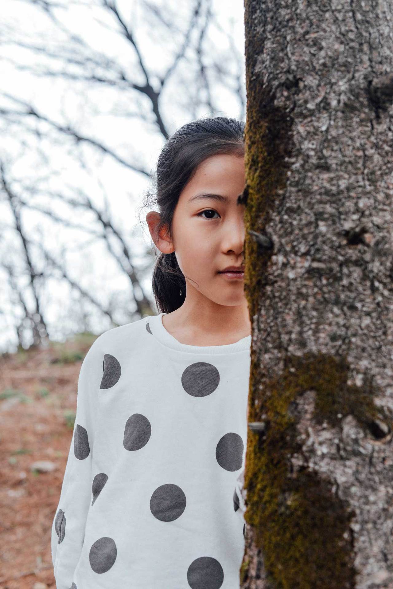 【摄影】尧山行之莫莫和瑞比