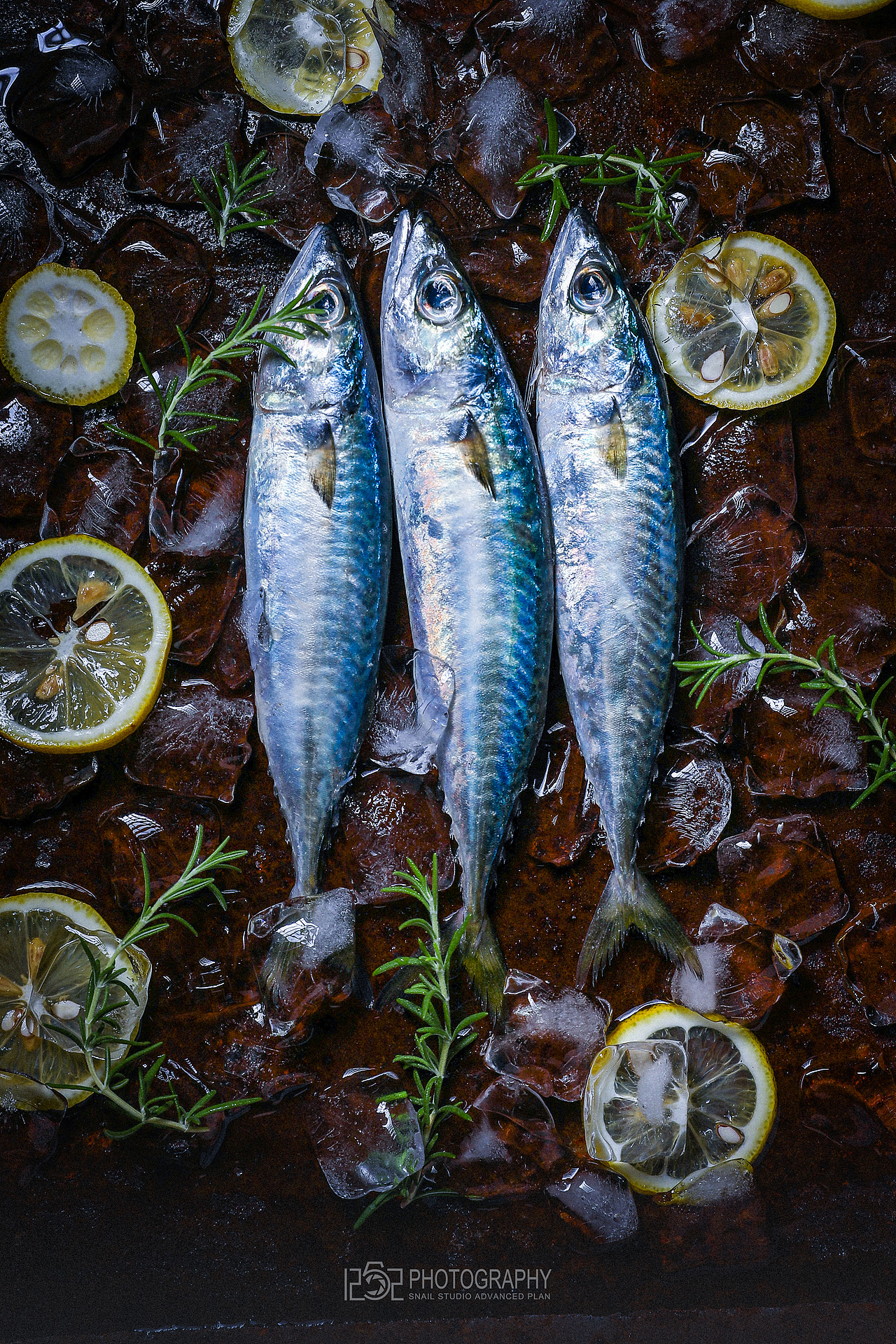 #1252第二十轮约拍##海鲜#