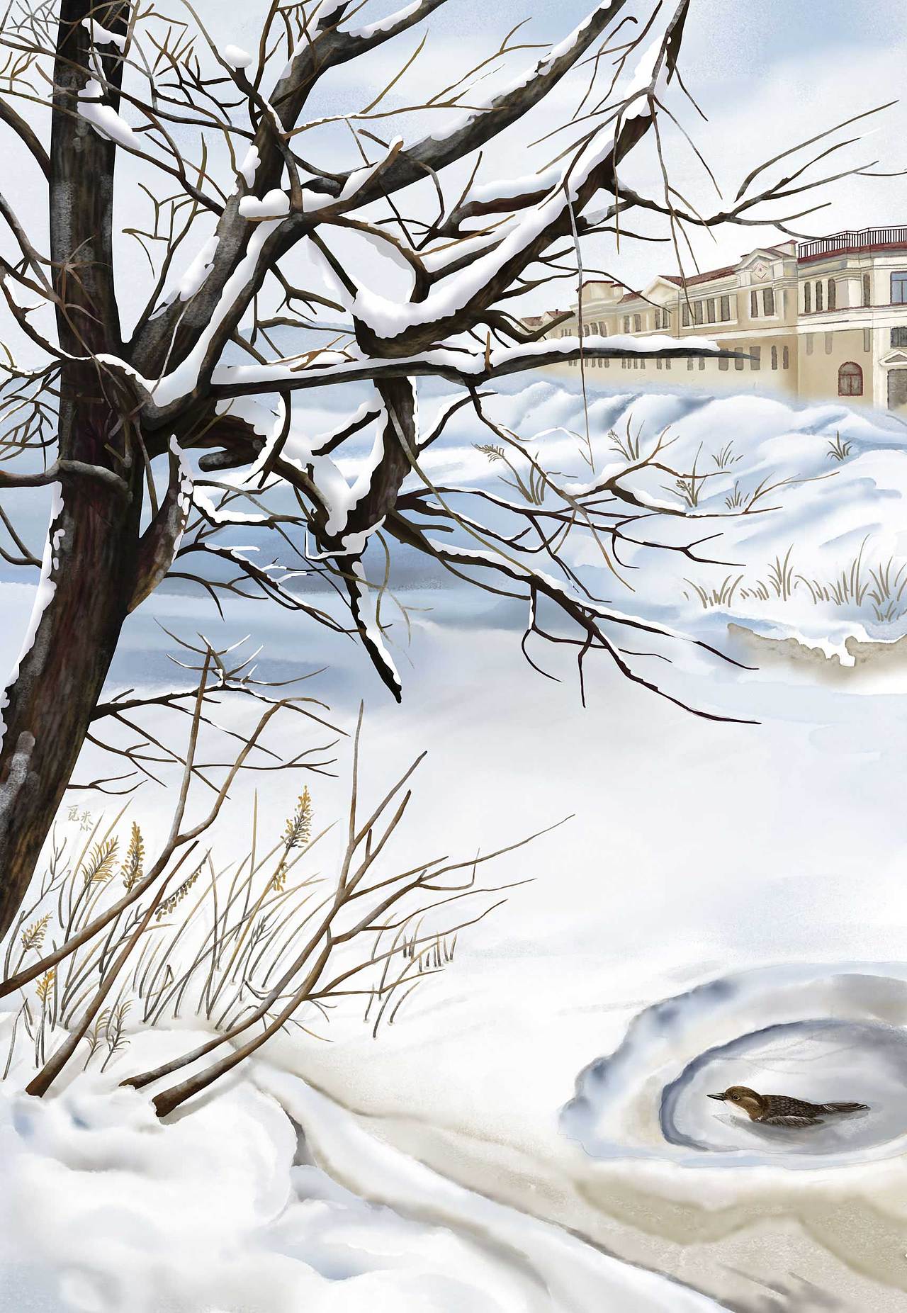 《森林报·冬》部分插图