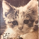 紫紫的猫的头像