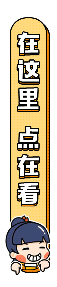 2020年度总结(IP篇)
