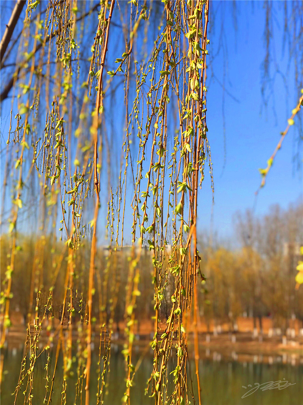 刘勇良纪实摄影:柳依依