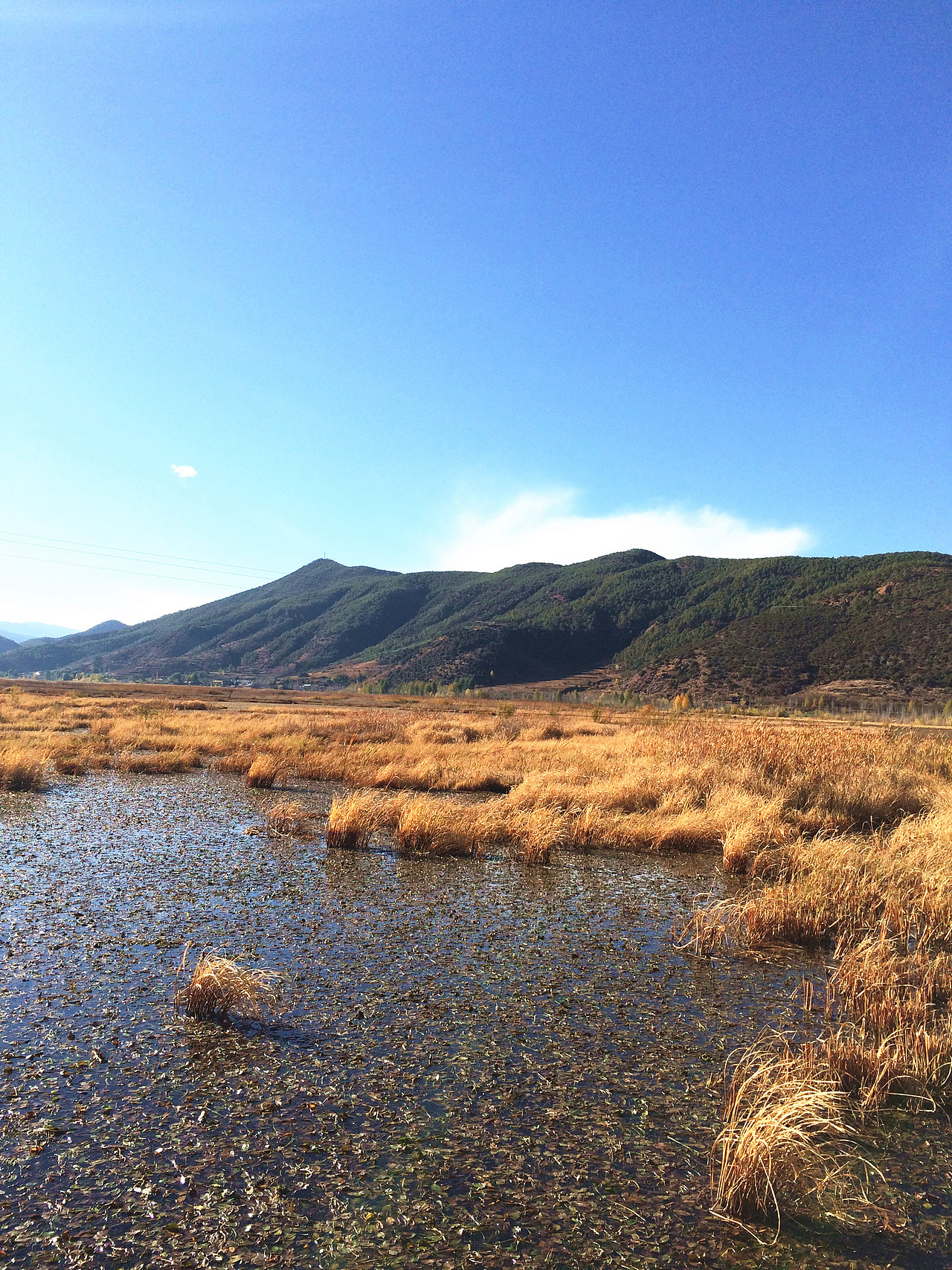 大理洱海-丽江-玉龙雪山-泸沽湖-昆明翠湖七日游（图ZMjI2NDIwMDA=） - 风光摄影 - 站酷设计师董搞搞原创素材 - 站酷ZCOOL