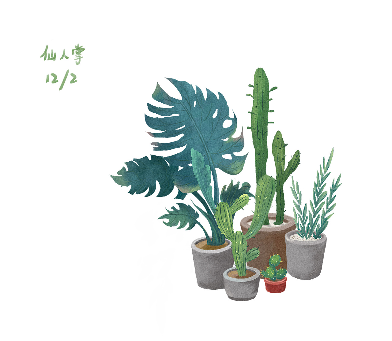 植物插画练习12/2-仙人掌(临摹)