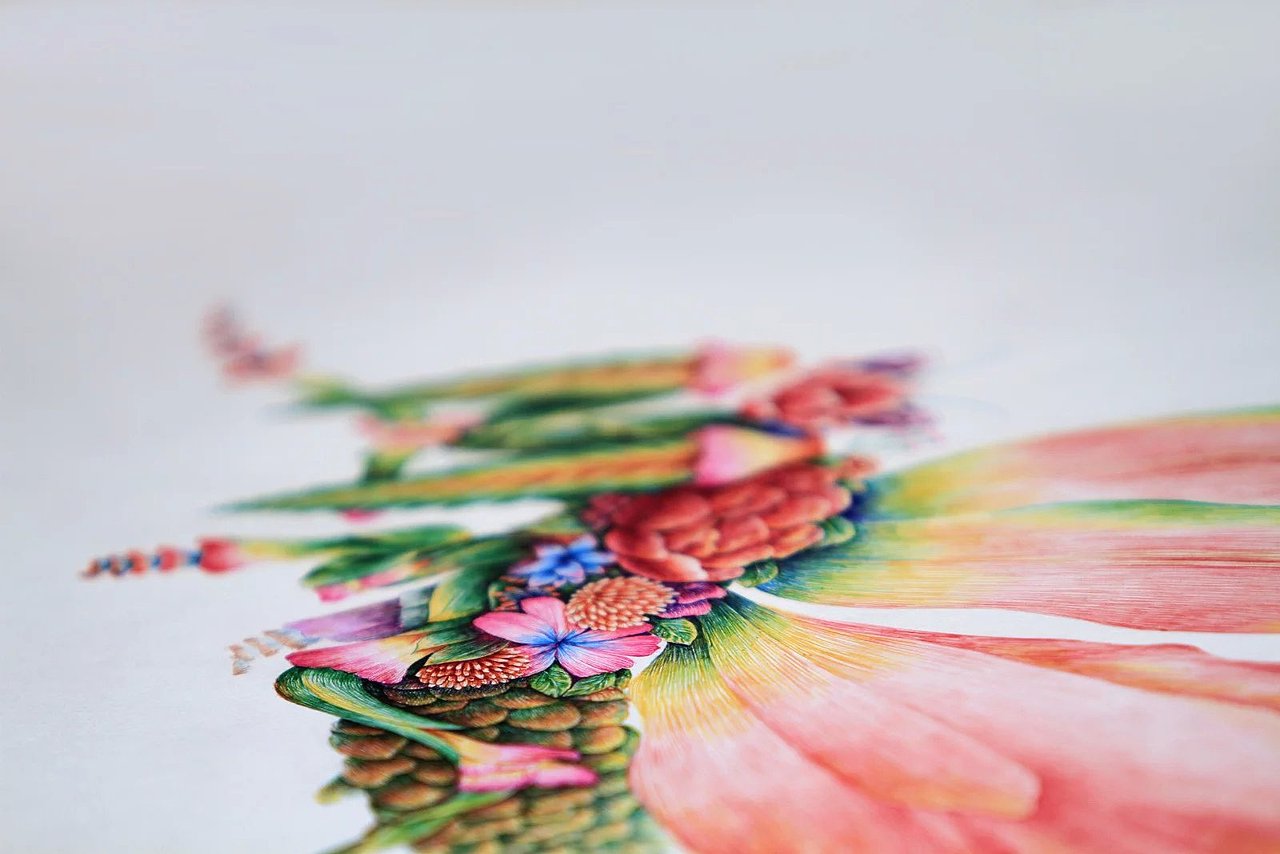 舒展《昆虫记—魔花螳螂》（图ZNDIyNzIzNDA=） - 商业插画 - 站酷设计师舒展原创素材 - 站酷ZCOOL