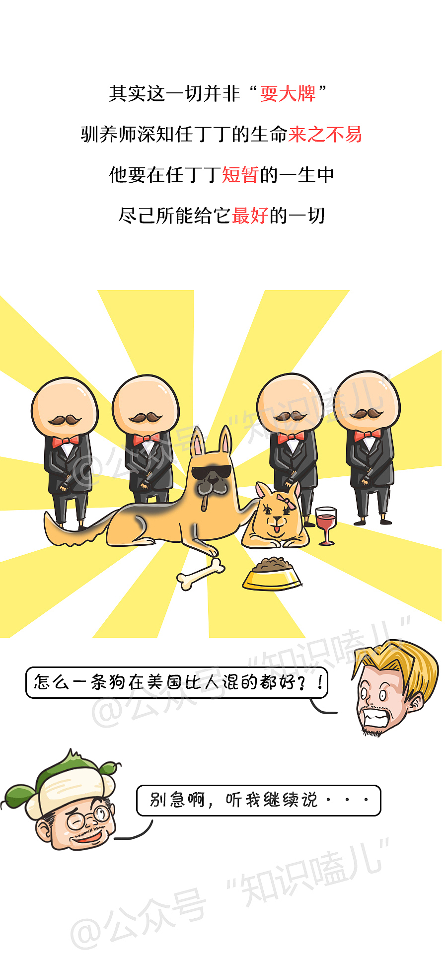 TA特技高超、勤奋努力,却与奥斯卡擦肩而过……