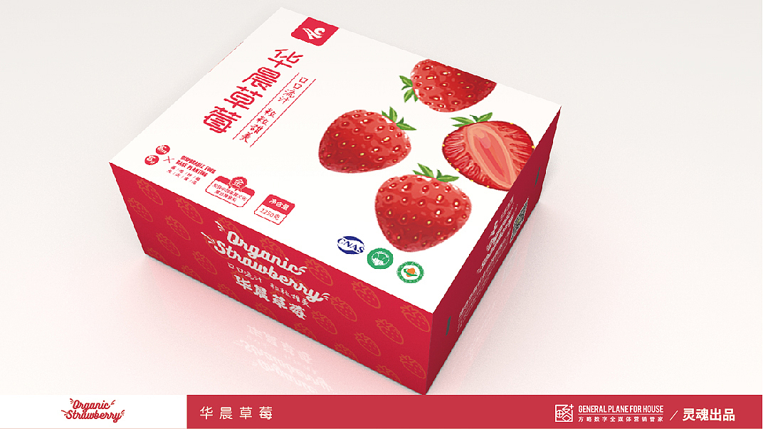华晨包装系列