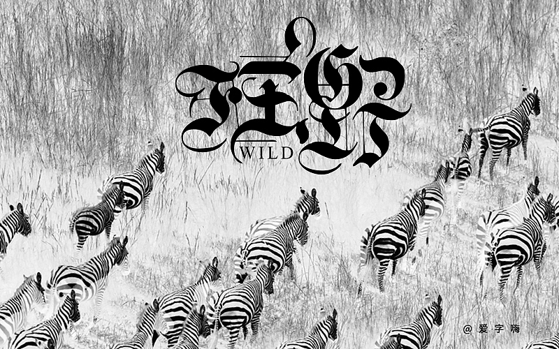 我为字嗨，不断前行（图ZNDk5ODIxNzY=） - 字体/字形 - 站酷设计师Janfin原创素材 - 站酷ZCOOL