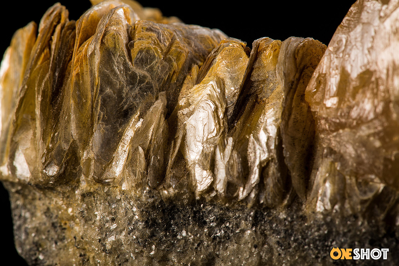 一些化石和矿石（图ZMTM4NTYyODI4） - 产品摄影 - 站酷设计师WildKay原创素材 - 站酷ZCOOL