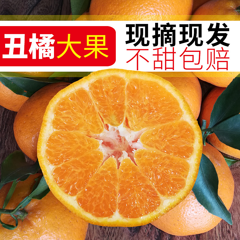 2018年-丑橘主图