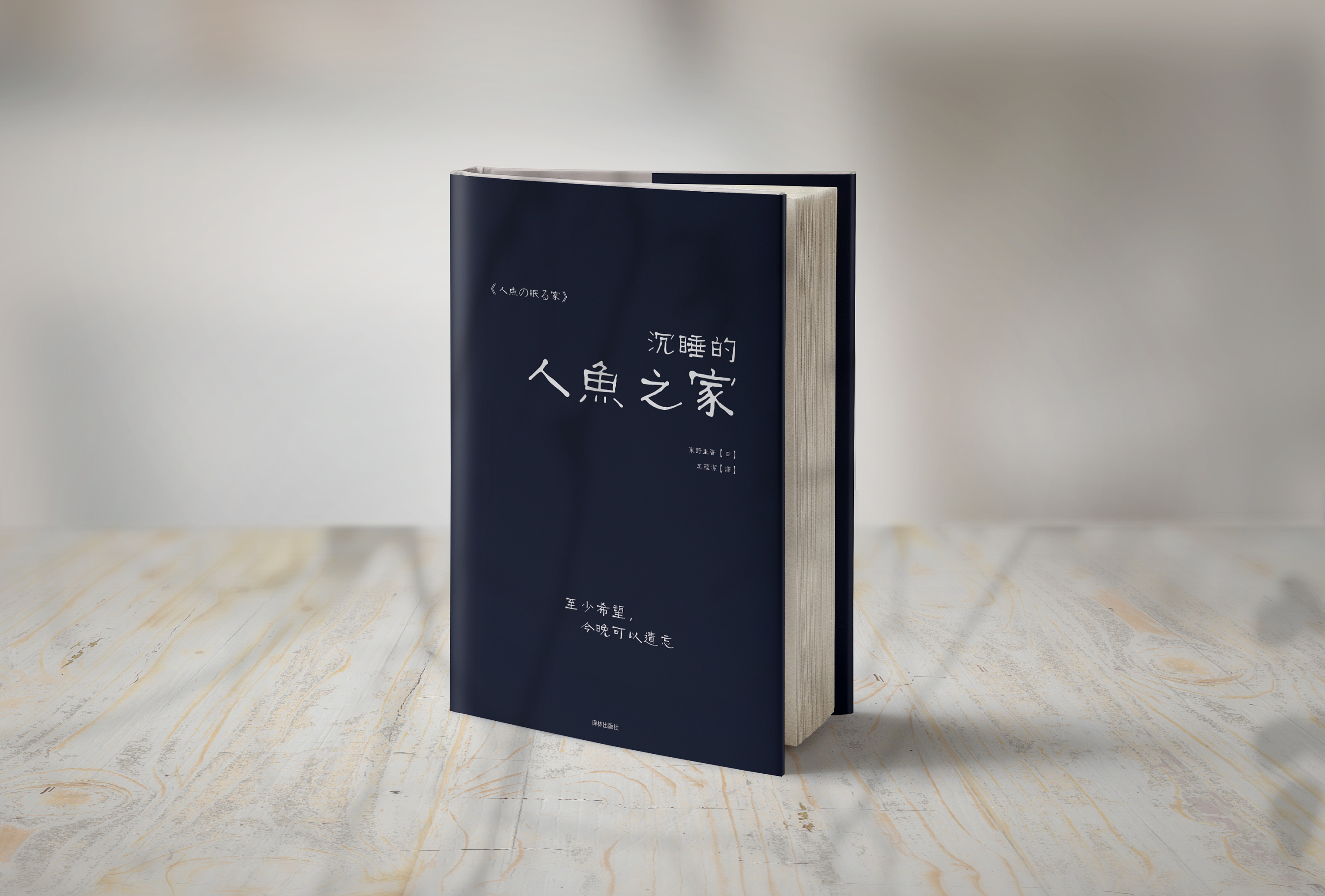 沉睡的人鱼之家书籍装帧设计