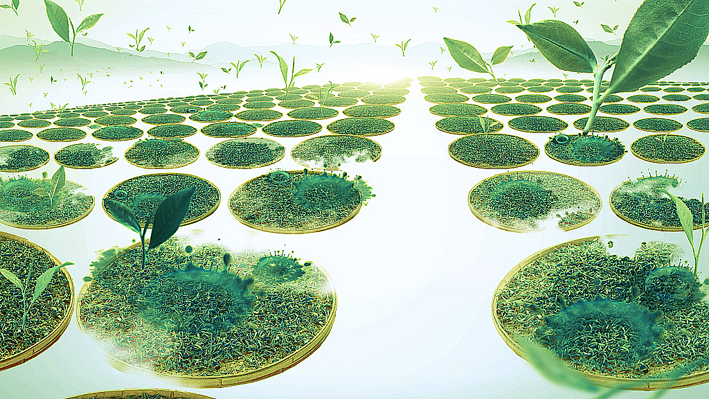 《中粮世博会 广告片》视觉设计（图ZMzQ0MzAzNjA=） - 影视后期 - 站酷设计师kaya_picture原创素材 - 站酷ZCOOL