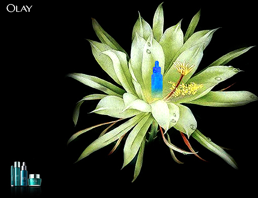 广告设计（图ZMjA3NDc4NzY=） - 海报 - 站酷设计师apple800原创素材 - 站酷ZCOOL