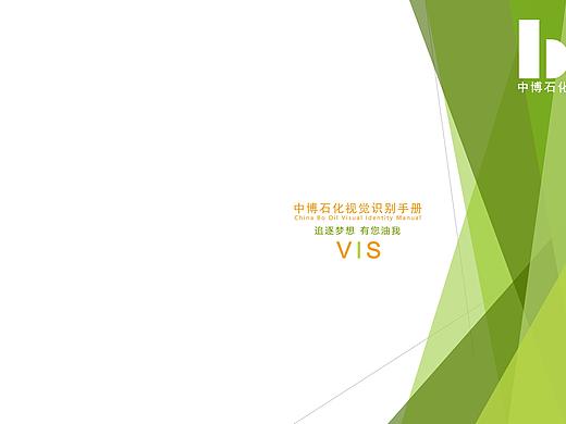 企业VI宣传册