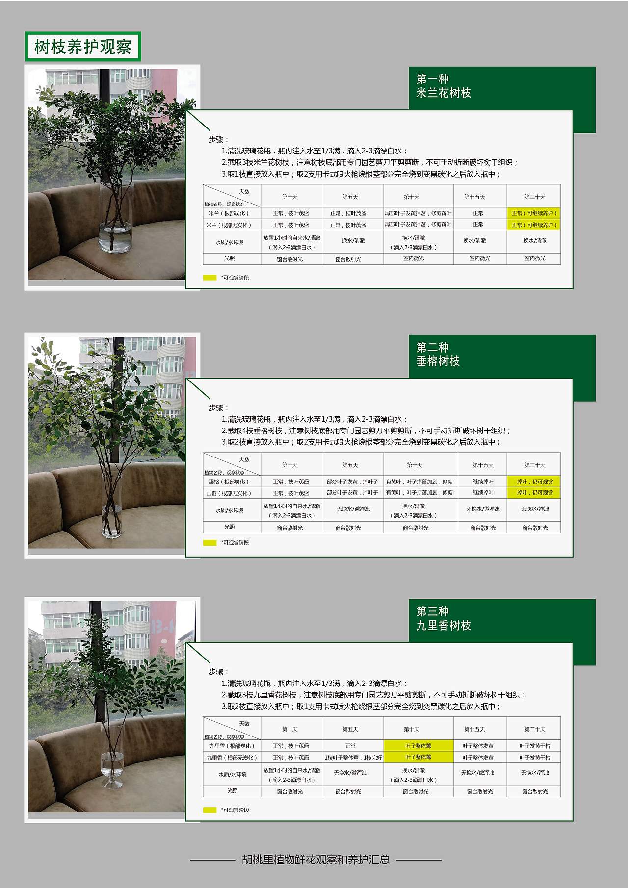 品牌-胡桃里音乐酒馆植物养护及观察