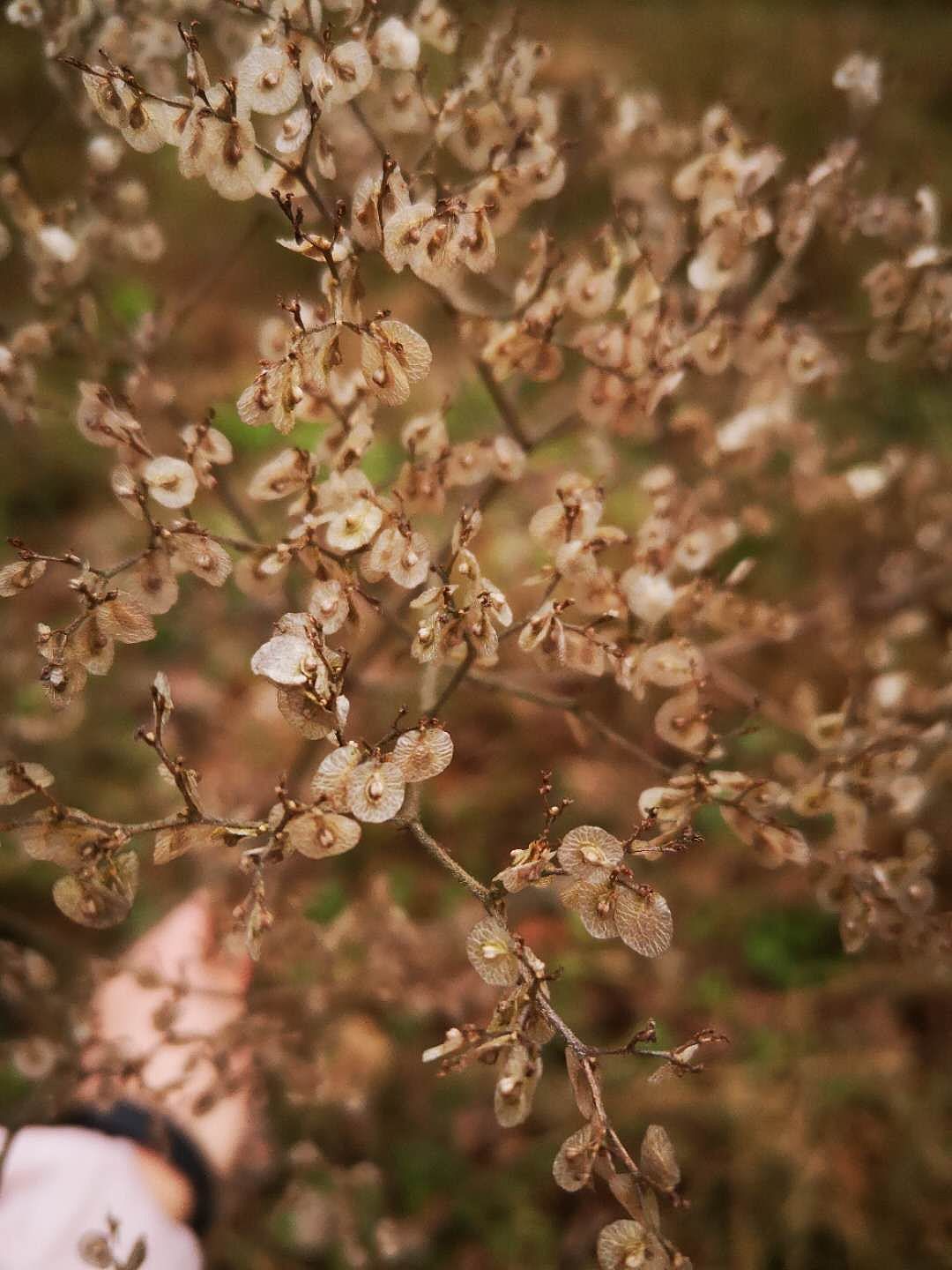 流年浮生（圖ZMjA0Mzk4OTY0） - 環(huán)境/建筑攝影 - 站酷設(shè)計(jì)師A玖熙原創(chuàng)素材 - 站酷ZCOOL