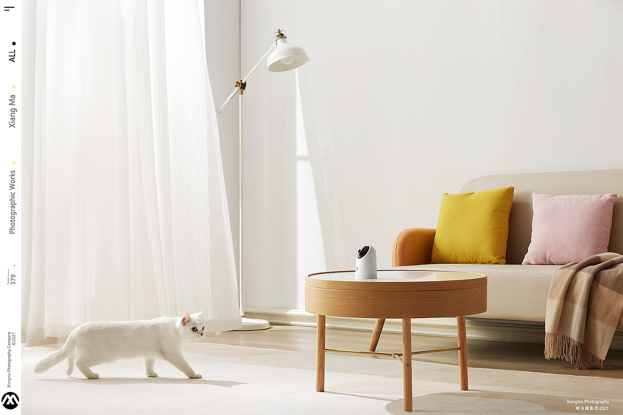 海雀摄影头|响马摄影