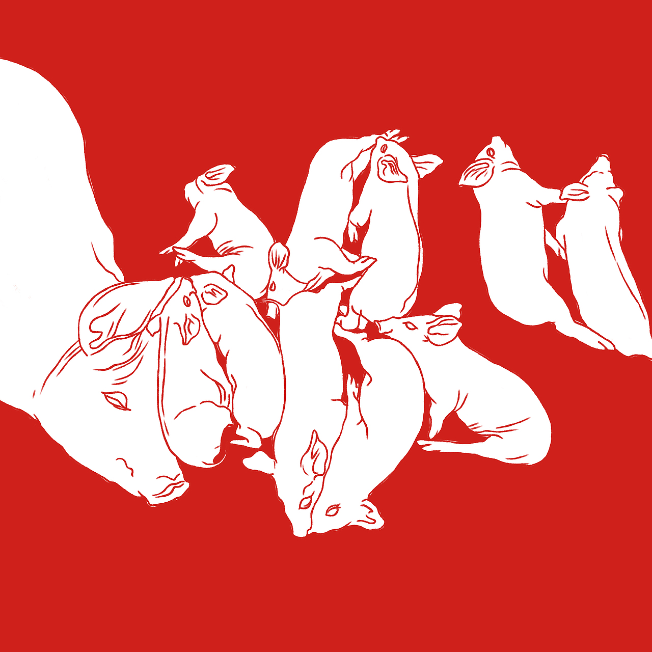 猪年快到啦（图ZMTI5MTMzMTQ4） - 艺术插画 - 站酷设计师杜小米原创素材 - 站酷ZCOOL