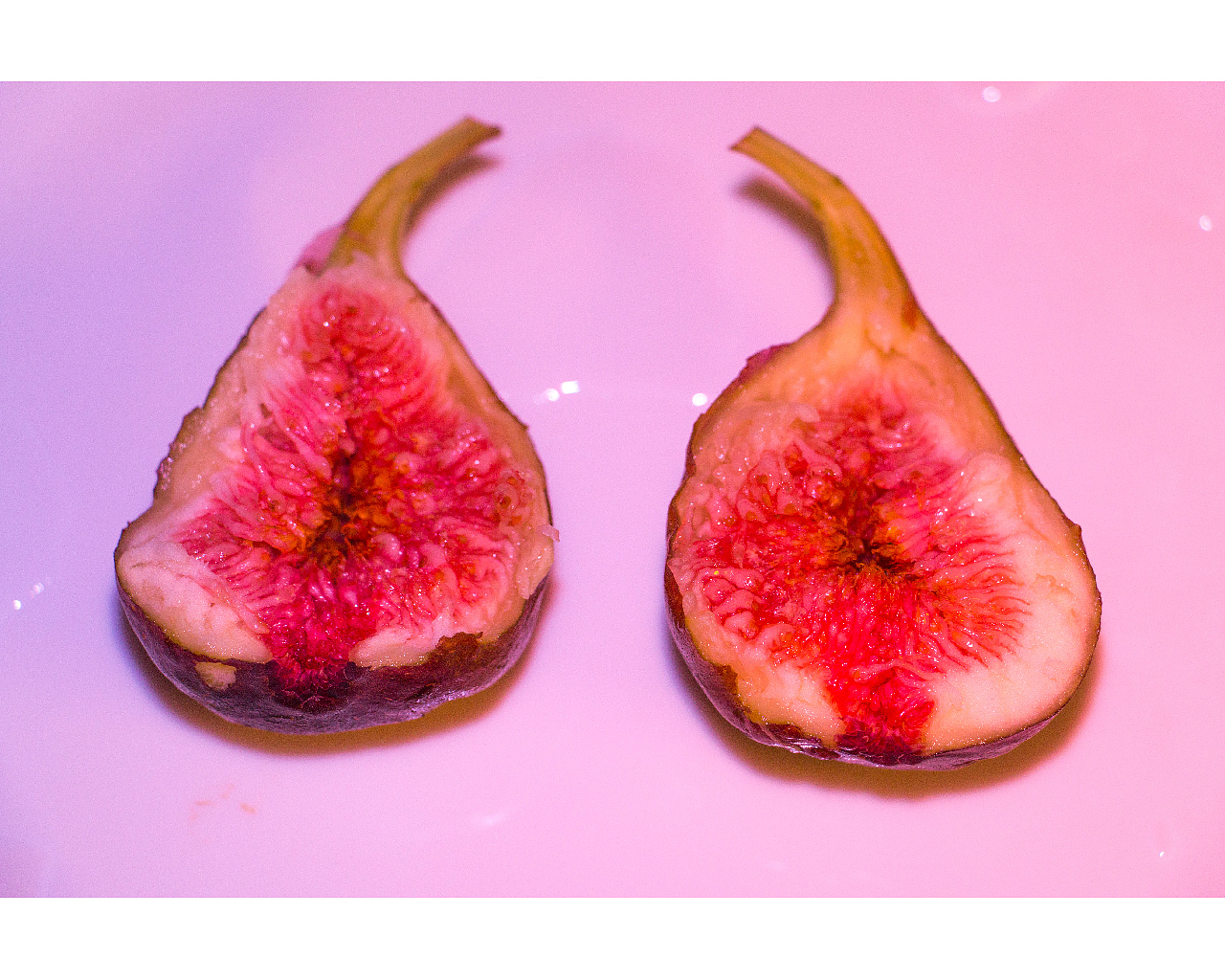 无花果的可能性