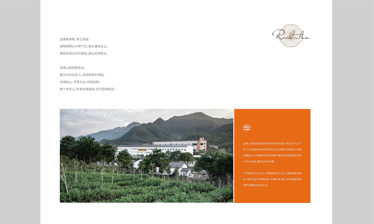 茶品牌 韵味武夷茶 品格桃渊茗（图ZMjM5NTcwNzU2） - 品牌 - 站酷设计师品牌战略实力派原创素材 - 站酷ZCOOL