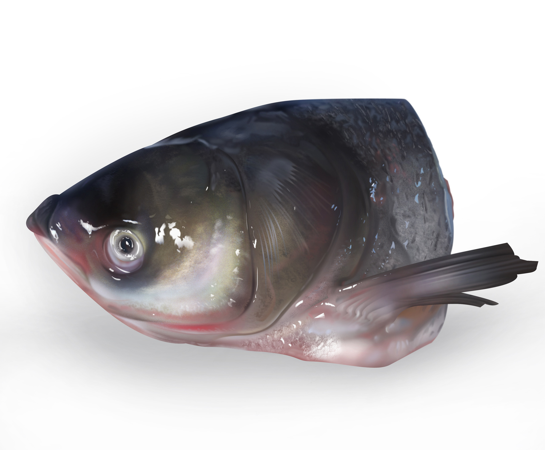 手繪海洋生物魚PSD圖案素材免費下載，可愛卡通圖片，尺寸2000 × 2000px - Lovepik