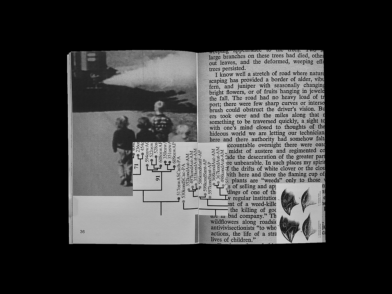 Entangled Thesis Book（图ZMjEzNjgxMDE2） - 书籍/画册 - 站酷设计师echoisagoodhorse原创素材 - 站酷ZCOOL