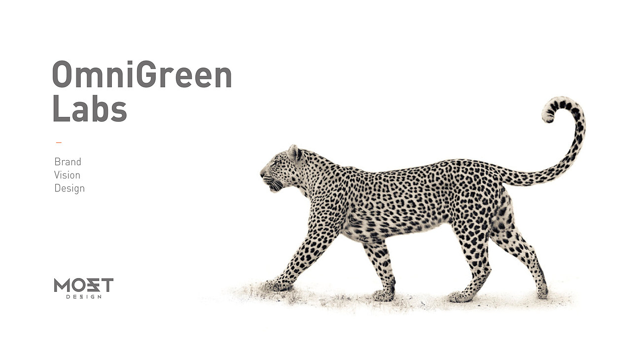 OG BRAND（图ZMzk4MTgwOTY=） - Logo - 站酷设计师阁楼妖怪原创素材 - 站酷ZCOOL