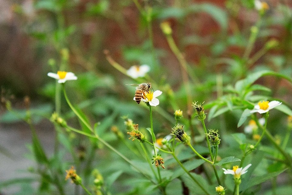 芳村火车站（图ZMTcwMzA4Mjg=） - 风光摄影 - 站酷设计师WL5900原创素材 - 站酷ZCOOL