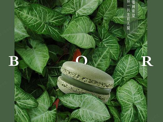 海报、推文