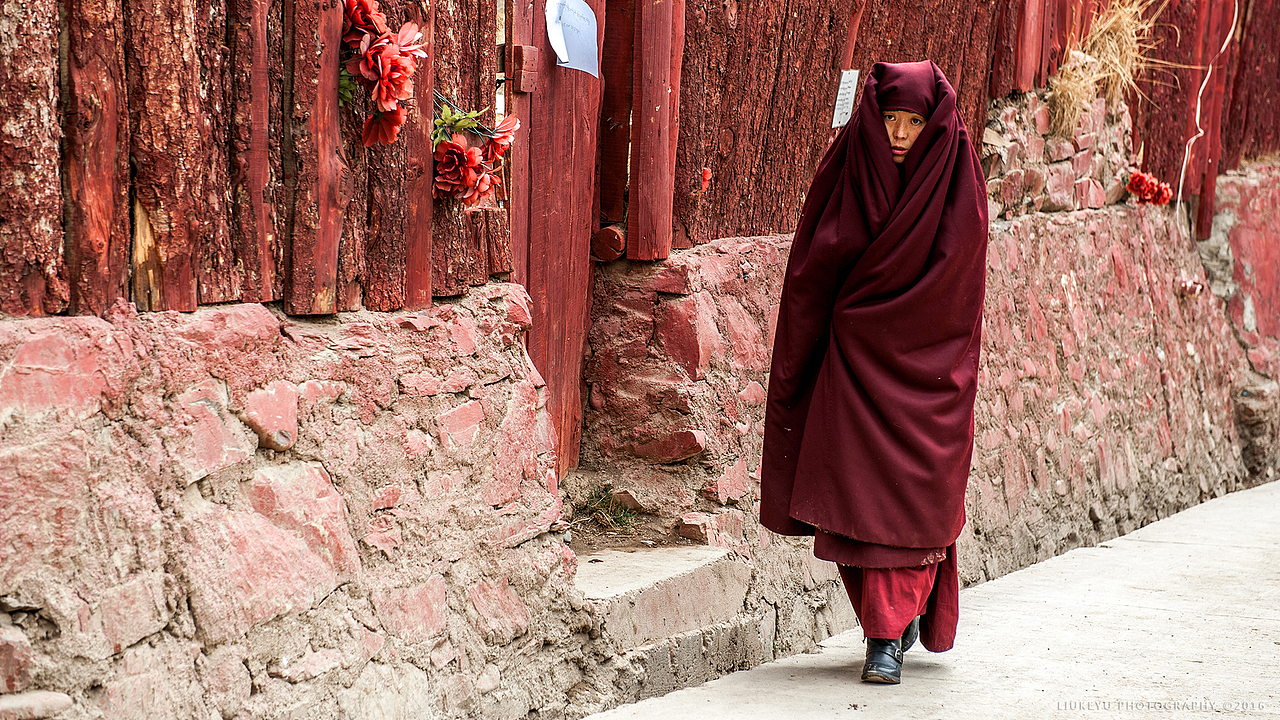 超度她们-她们网络剧