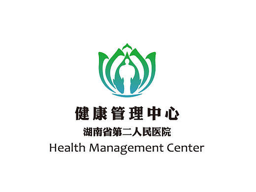 【市野品策】湖南省第二人民医院  VI设计 品牌设计 品牌全案策划设计