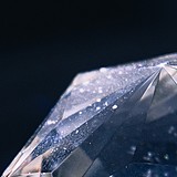 lqtgsp的头像