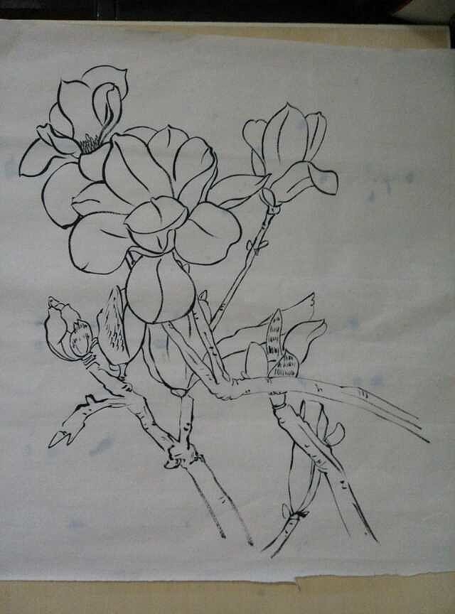 我的国画--花卉