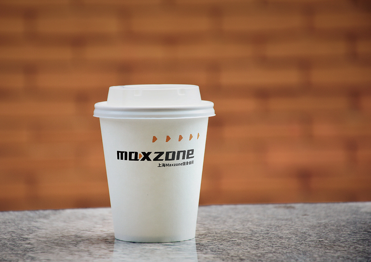 MAXZONE VI（图ZMjUzNjg4Mjgw） - 品牌 - 站酷设计师肆零寺原创素材 - 站酷ZCOOL