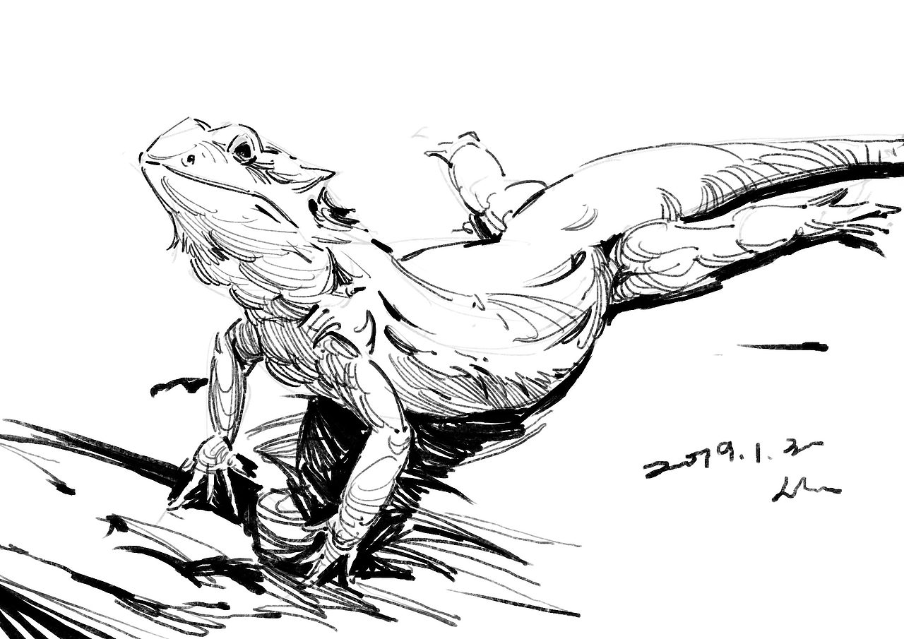 2019年1月速写选（图ZMTQzNzM4Mzg0） - 绘画 - 站酷设计师半岛酒徒原创素材 - 站酷ZCOOL