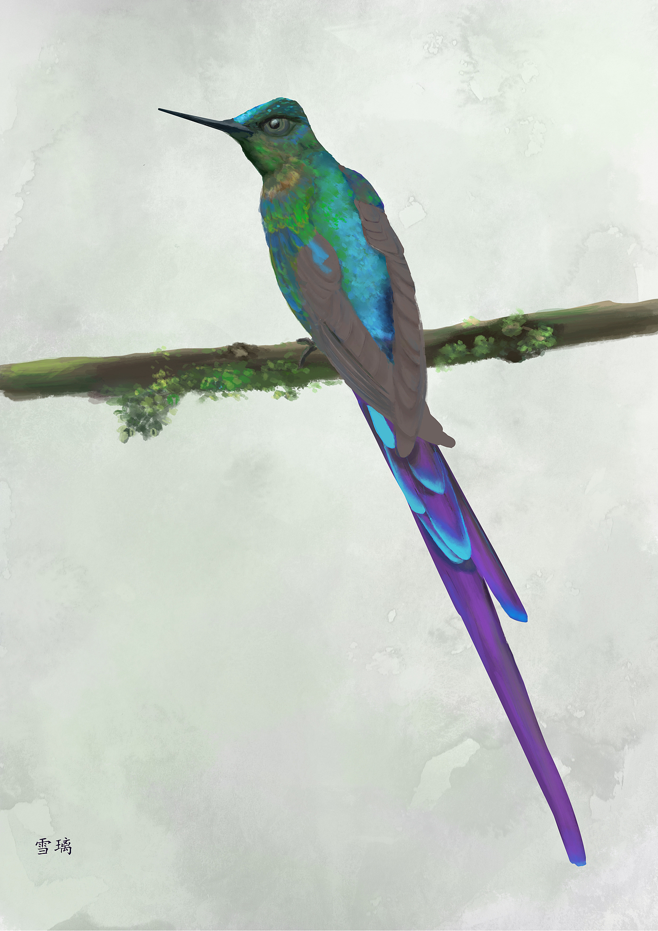翠鸟（图ZMTg4ODUzNzcy） - 创作习作 - 站酷设计师雪璃原创素材 - 站酷ZCOOL
