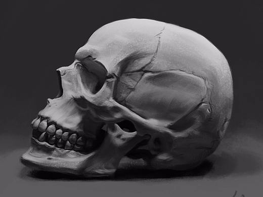 素描（個人主頁-ZMjYzNDcxNDQ=） - 創(chuàng)作習(xí)作 - 站酷設(shè)計師bobo舟原創(chuàng)素材 - 站酷ZCOOL