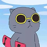 海金丶的头像