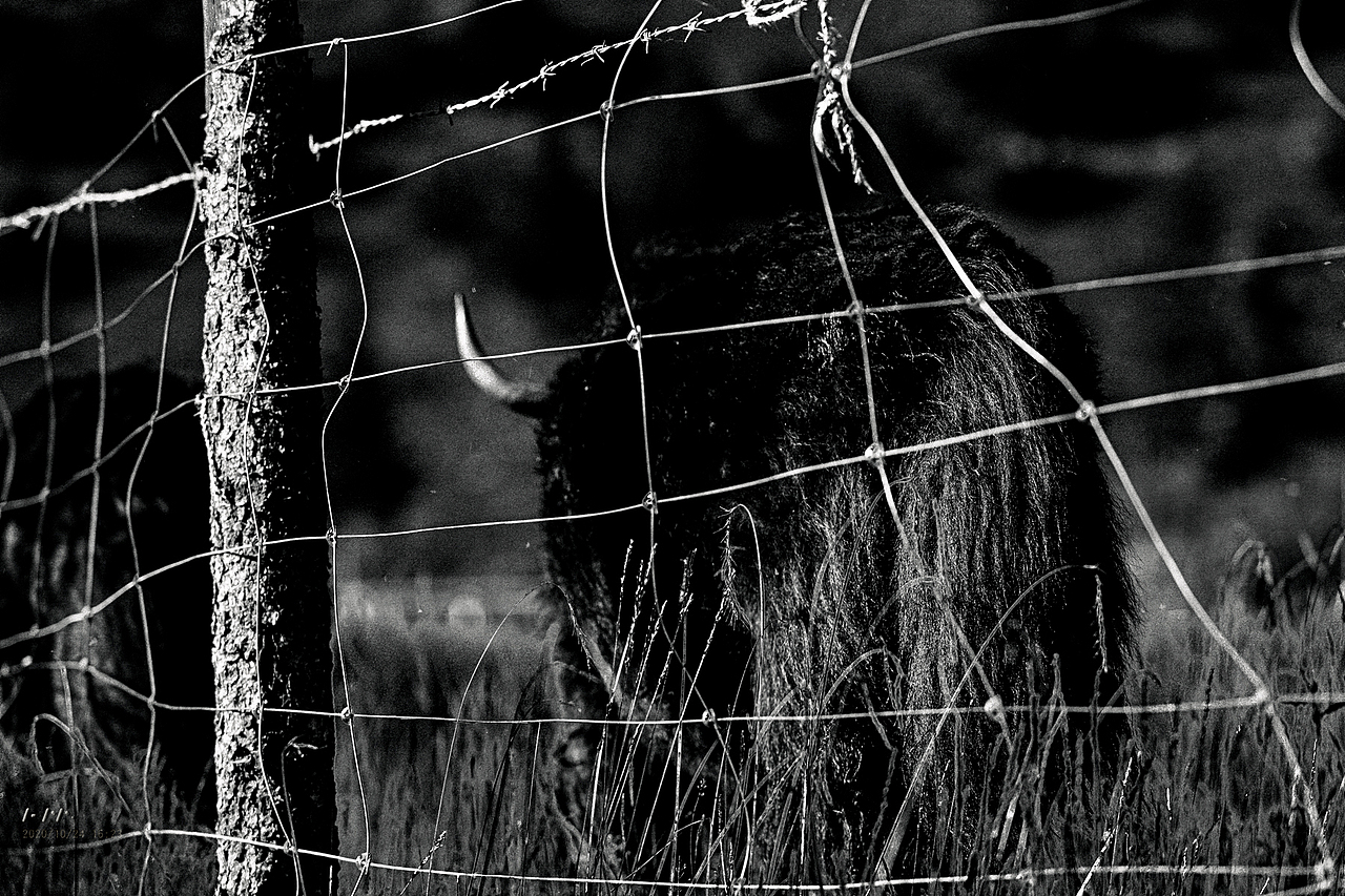 成都-甘孜自治州