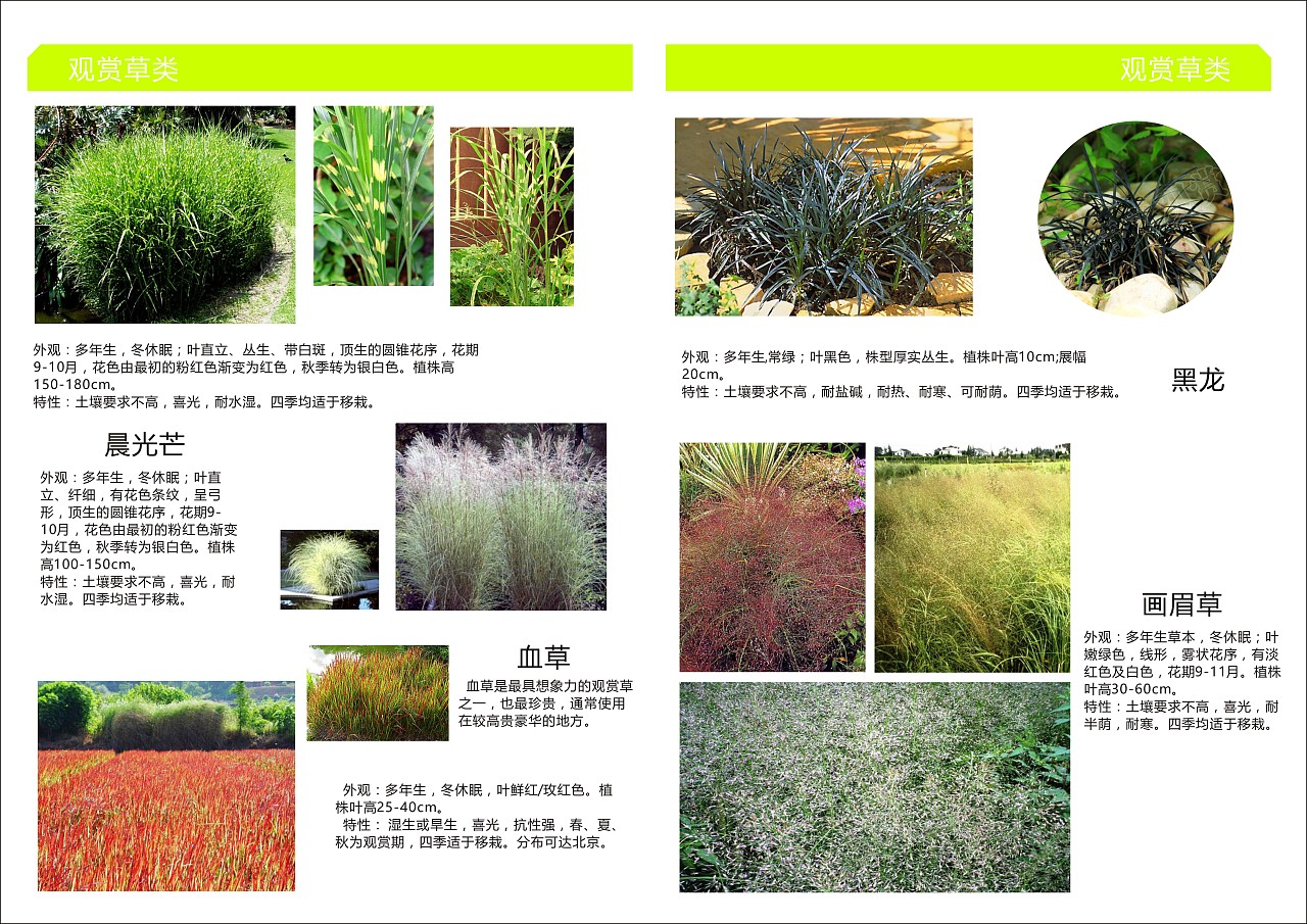 杭州植物园——盆栽植物展示中心 - 风景名胜区 - 首家园林设计上市公司