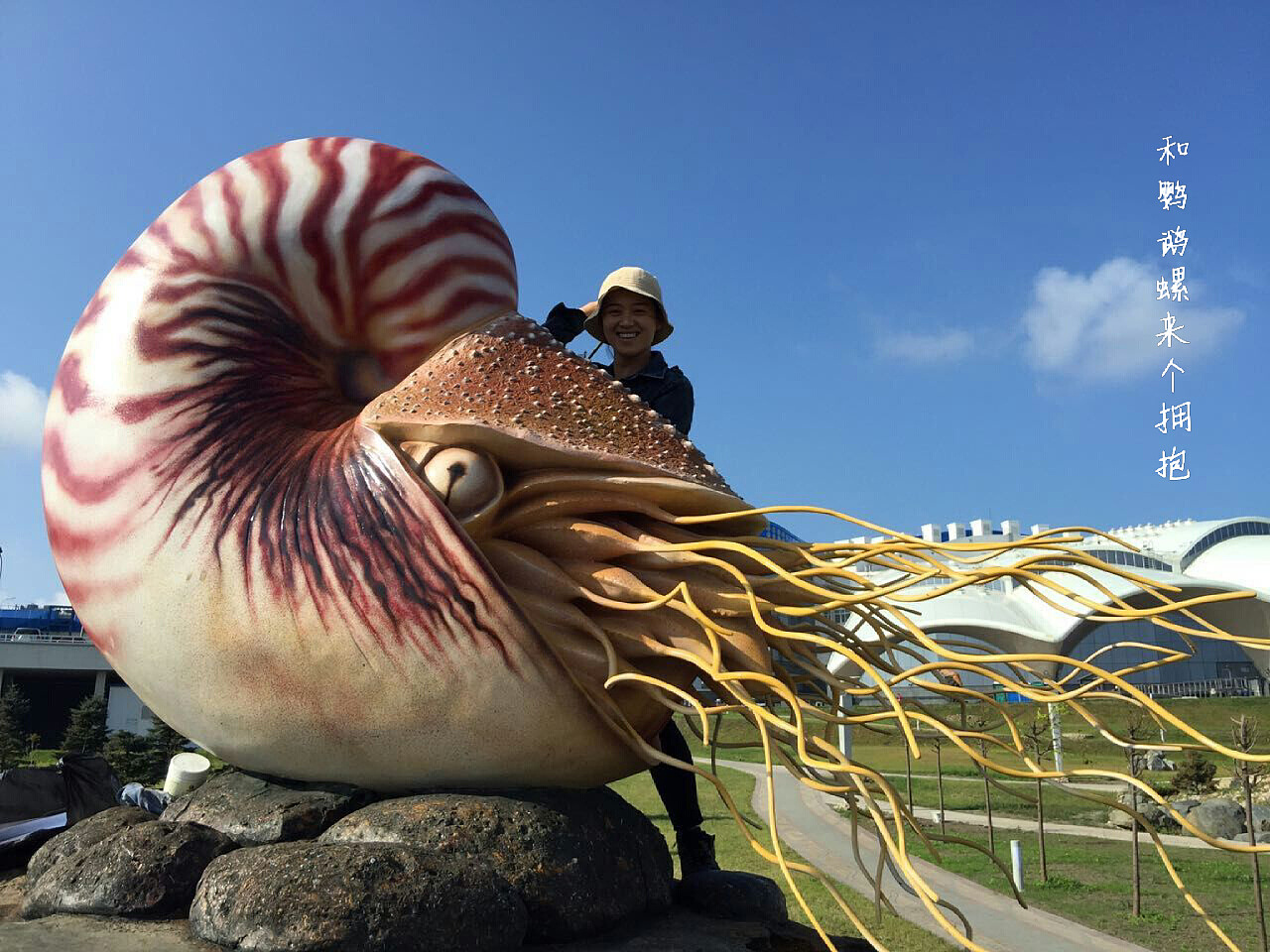 海洋生物-水泥|纯艺术|雕塑|艺豆壳雨_原创作品-站酷zcool