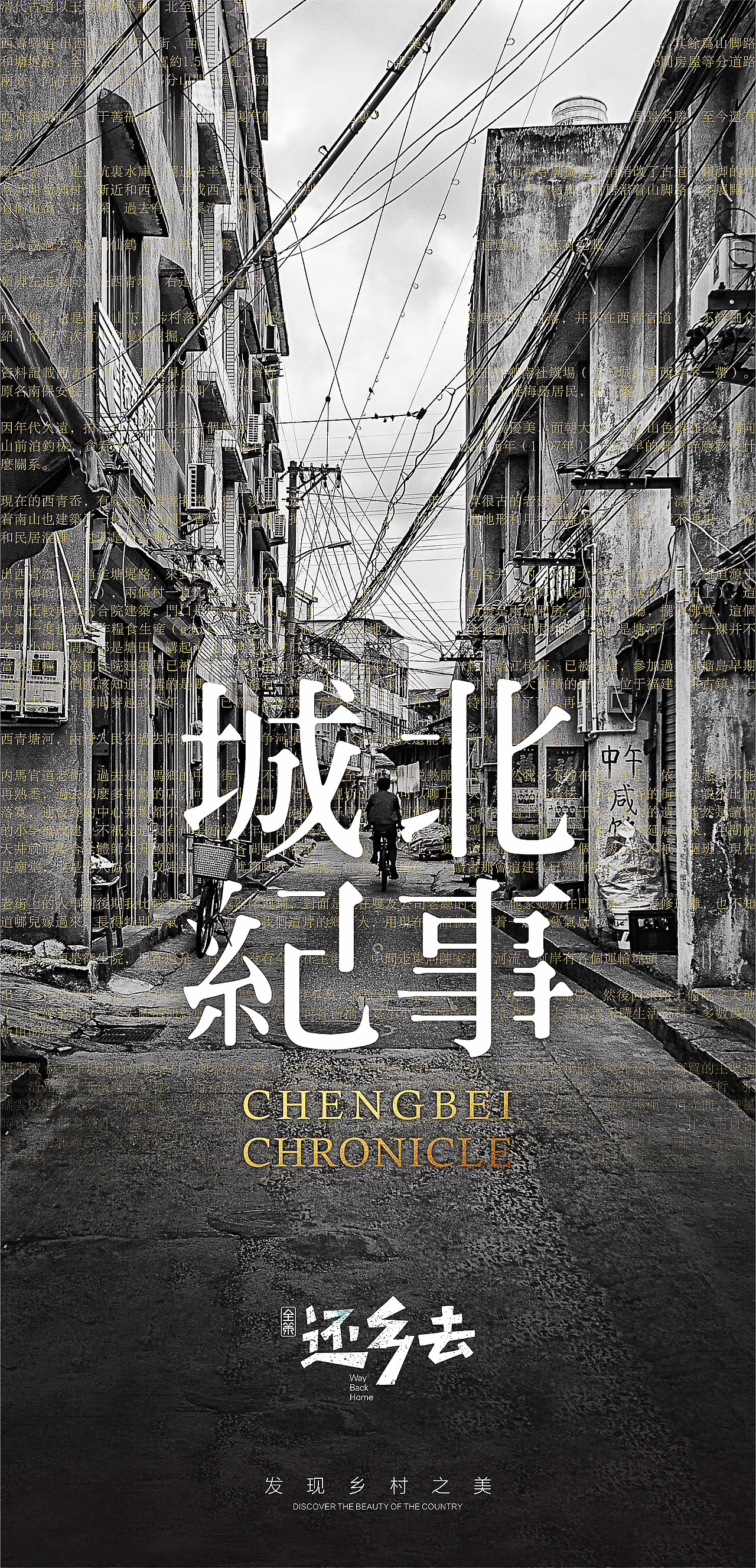 还乡去海报合集